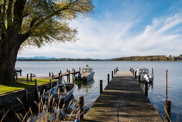 然而正如任 然而正如任