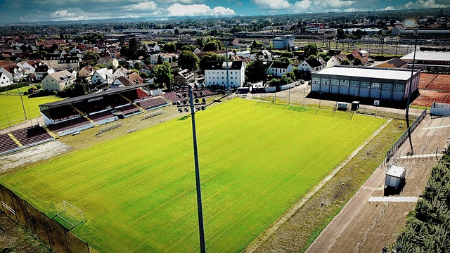 他独特的个 他独特的个